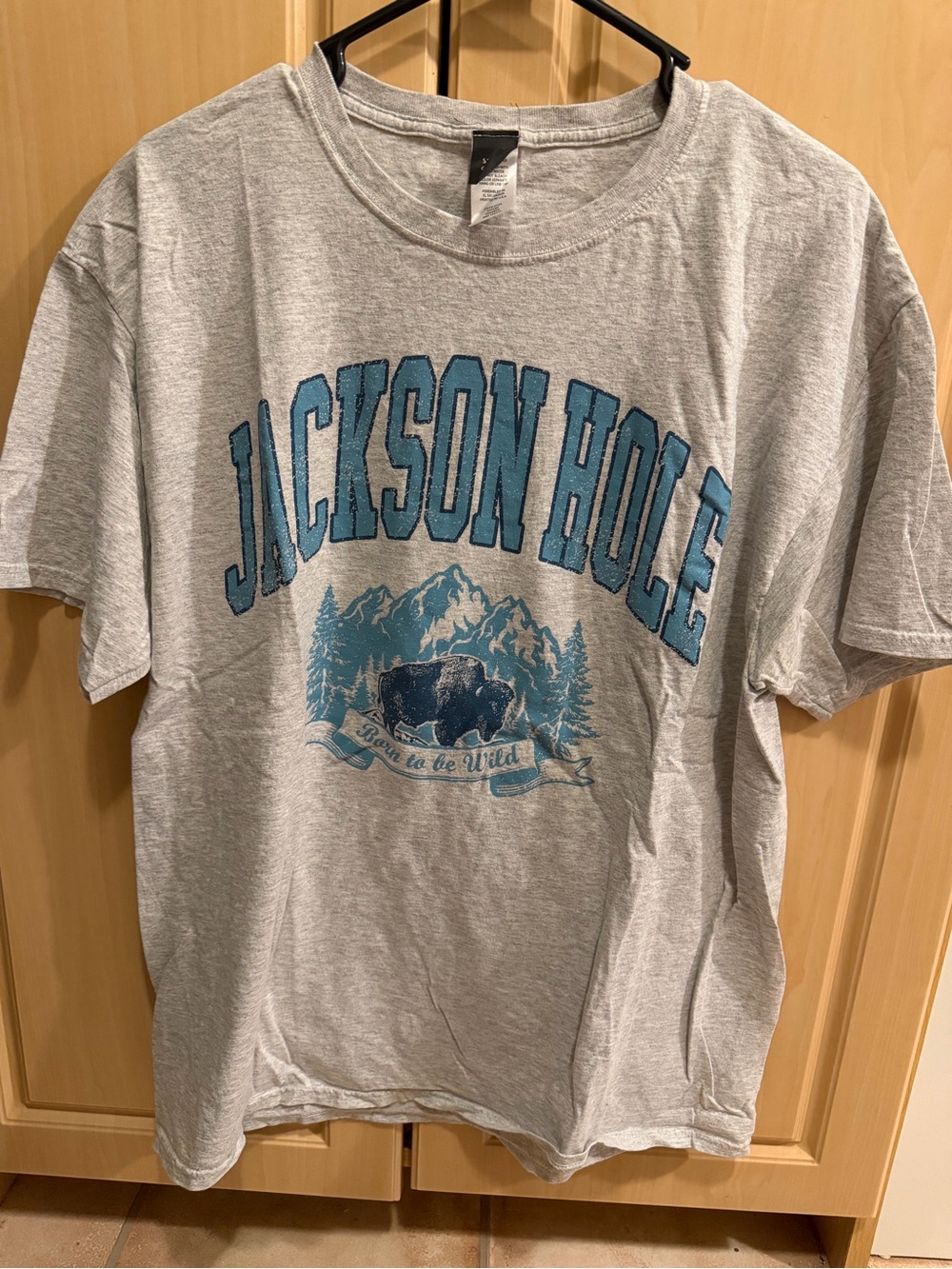 Jackson Hole Grey Graphic Tee with Blue Print